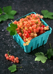 Fresh rosa and white currants in a cardboard box on a dark rustic background. Harvest of summer berries. Vegan lifestyle, healthy eating concept. 