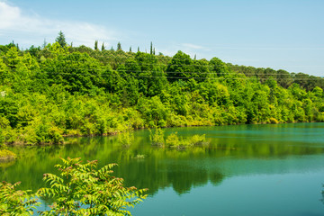 lake in deep forest