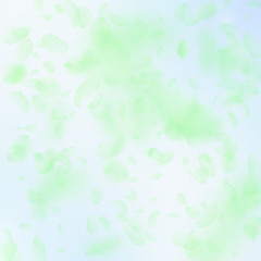 Fototapeta premium Green flower petals falling down. Breathtaking romantic flowers falling rain. Flying petal on blue sky square background. Love, romance concept. Bewitching wedding invitation.