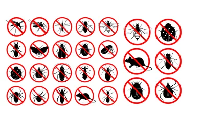 Foto op Plexiglas set of prohibited insect isolated. easy to modify © coolvectormaker