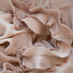 Chiffon ripple cream-colored, powdery shade. The texture is close.