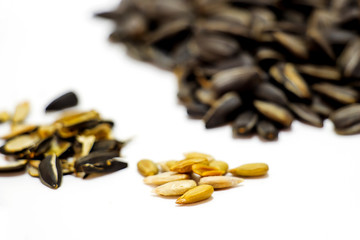 Sunflower seeds on a white background