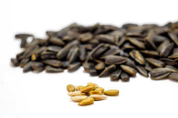 Sunflower seeds on a white background