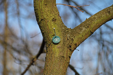 Baum-Markierung