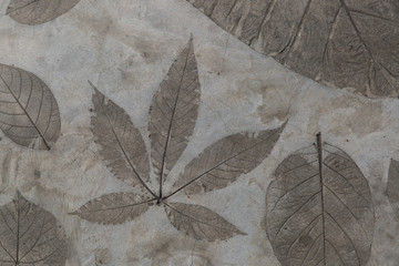 Leaf detail was stamped on the concrete surface floor