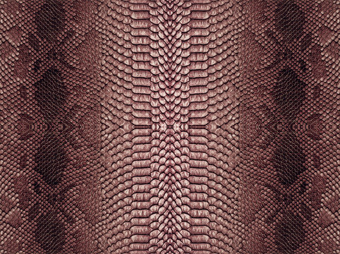 Snake skin background. Panoramic web banner with copy space.