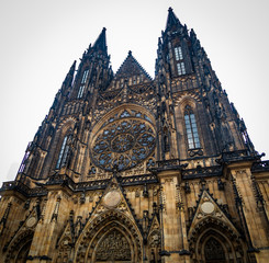 Fototapeta premium St. Vitus Cathedral in Prague, Castle complex, Czech Republic 