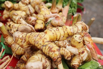 Fresh galangal for cooking in the market