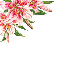 Beautiful pink lily frame. Bouquet of flowers. Floral print. Marker drawing. Watercolor painting. Wedding and birthday festive composition. Greeting card. Painted background. Hand drawn illustration.