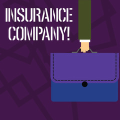 Text sign showing Insurance Company. Business photo showcasing company that offers insurance policies to the public Businessman Hand Carrying Colorful Briefcase Portfolio with Stitch Applique