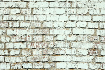 pattern of birch bark with black birch stripes on white birch bark and with wooden birch bark texture