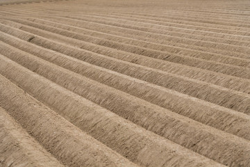 Freshly plowed field