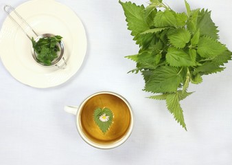 Healing tea with fresh nettles, flat view. Cup of nettle tea , dry and fresh nettles, tea strainer on the plate,  light tablecloth