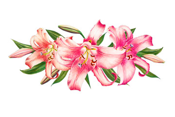 Obraz na płótnie Canvas Beautiful pink lily. Bouquet of flowers. Floral print. Marker drawing. Watercolor painting. Wedding and birthday festive composition. Greeting card. Flower painted background. Hand drawn illustration.