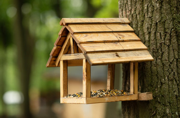 Bird feeders. tree house for the birds, cheerful apartment