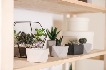 Different home plants on wooden shelf, space for text. Interior design element
