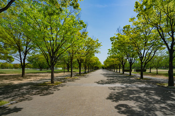 鶴見緑地公園　風景