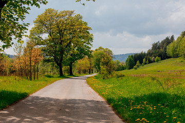 Fototapeta na wymiar rural road on the border of the Czech Republic and Poland