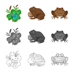 Isolated object of wildlife and bog icon. Set of wildlife and reptile stock vector illustration.