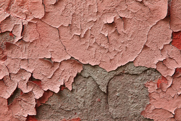 Fragment of an old exterior wall with cracked peeling plaster pink color