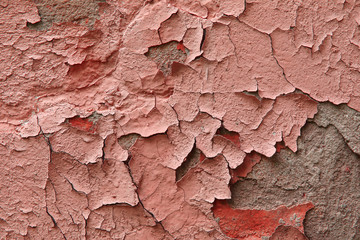 Fragment of an old exterior wall with cracked peeling plaster pink color