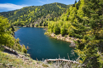 Typical mountain lake landscape, Italy.