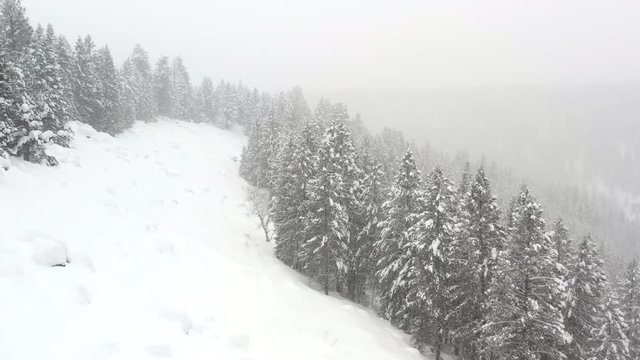 Aerial flyover view of snowstorm in forest on mountain / Island Park, Idaho, United States
