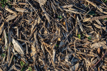 texture of wood chips on the ground