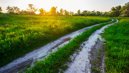 evening rural landscape, ground road among a green fields at the sunset