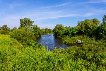 beautiful summer landscape, small river flow among the foresty coast