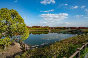箕面スカイアリーナ　周辺景色