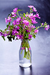 Wild violet flowers in glass bottle on black background.