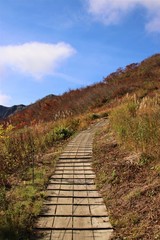 Fototapeta premium 白馬の紅葉