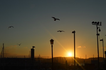 Atardecer en la costa.