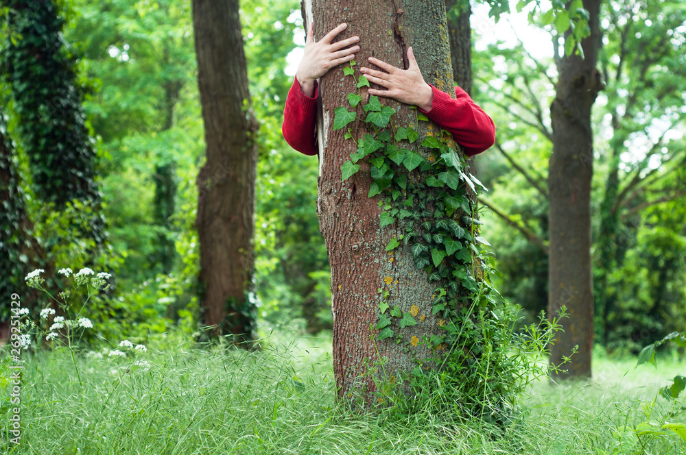 Wall mural closeup of man hugging a tree trunk in a forest