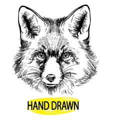 Fox. Professional drawing in vintage style. Cute fluffy fox. Arctic fox in winter coat. Freehand drawing. Ink drawing, drawing pen. 