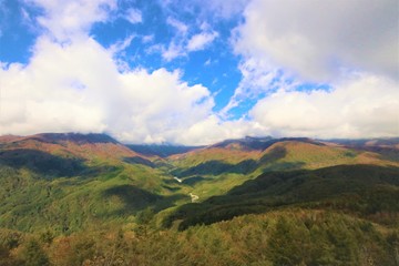Fototapeta premium 白馬のハイキング道