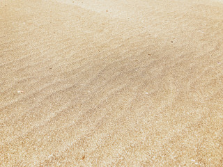 Naklejka na ściany i meble Close-Up Of Sand Background Texture
