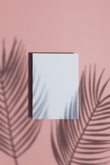 Tropical palm leaf shadow on a white card frame. Exotic summer background.