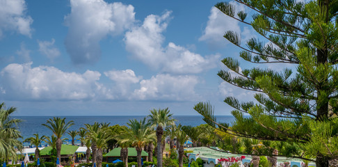 Beautiful tropical coastline with palm trees and clear blue water