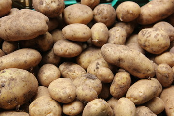 Food Market in Madeira, Portugal
