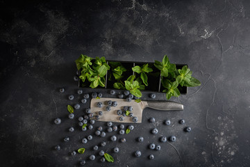 Top view of blueberries with fresh mint on dark rustic background with copy space.