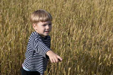 Little boy on a wheat field. Nature in the country. Boy points a finger.