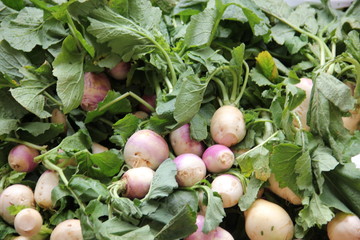Food Market in Madeira, Portugal