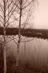 The embankment of the Vaytka river in Kirov, Russia. Distant view of the river. Landscape. Birches.