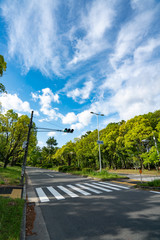 南千里周辺　風景