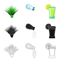 Isolated object of cafe and Latin symbol. Set of cafe and national vector icon for stock.