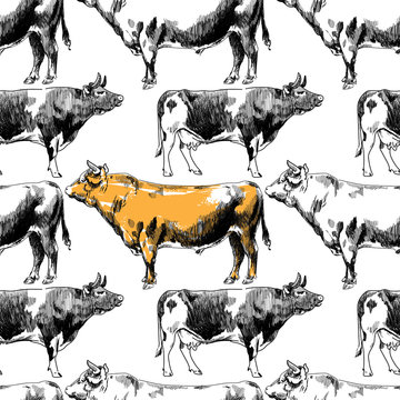 Seamless pattern with cows. Freehand drawing. Vintage background. Cows and bulls.  Texture watercolor paint.