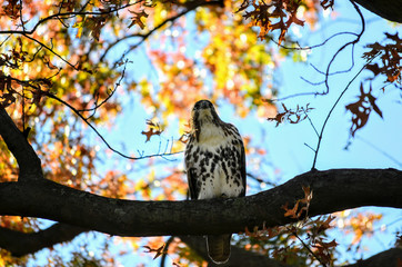 1221952204