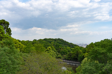 Fototapeta na wymiar 甲山森林公園の自然風景